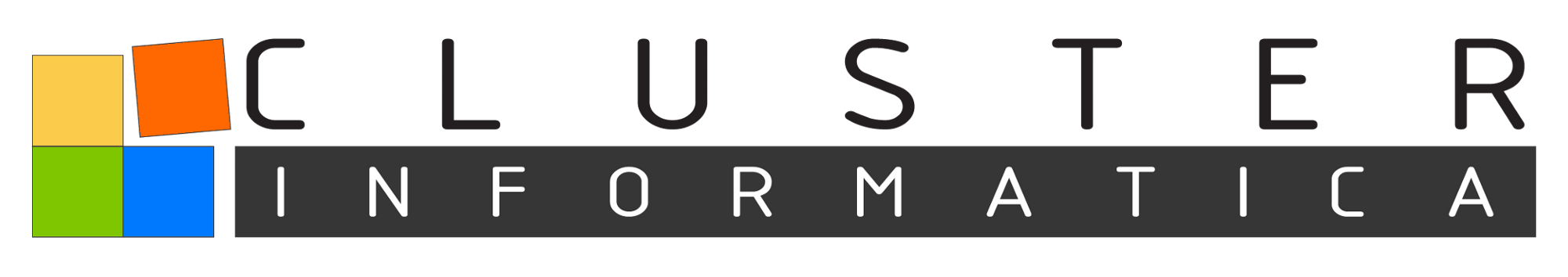 Cluster Informatica